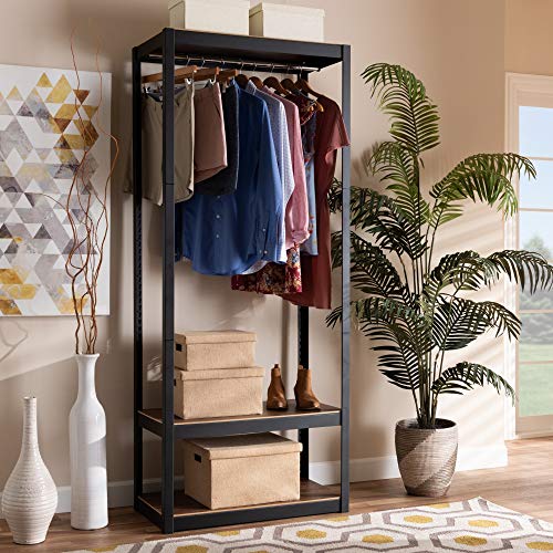 Baxton Studio Elton Modern and Contemporary Black Finished Metal 3-Shelf Free-Standing Closet Storage Organizer