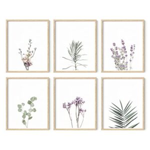 haus and hues floral prints and plant posters set of 6 botanical prints wall art & floral wall art, wildflower wall art plant wall art minimalistic wall art plant set (8"x10", unframed)
