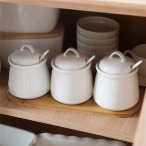 HAOTOP Porcelain Condiment Jar 3 Pack Set with Tray, 12 Ounces White