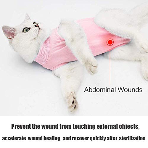 Cat Professional Recovery Suit for Abdominal Wounds and Skin Diseases, E-Collar Alternative for Cats and Dogs, After Surgey Wear Anti Licking, Recommended by Vets（Pink,M