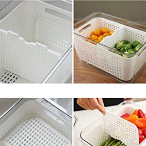 MRT Produce saver storage containers - Fresh Vegetable Fruit Storage Containers - Fridge Food Storage Containers - Keep Vegetables Fresh Easy to Clean(White, 4.5 L)