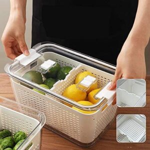 MRT Produce saver storage containers - Fresh Vegetable Fruit Storage Containers - Fridge Food Storage Containers - Keep Vegetables Fresh Easy to Clean(White, 4.5 L)