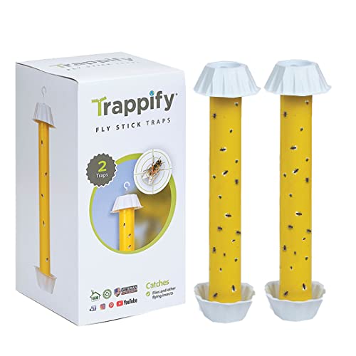 Trappify Hanging Fly Traps Outdoor: Fruit Fly Traps for Indoors | Fly Catcher, Gnat, Mosquito, & Flying Insect Catchers for Inside Home - Disposable Sticky Fly Trap for Indoor House Pest Control (2)