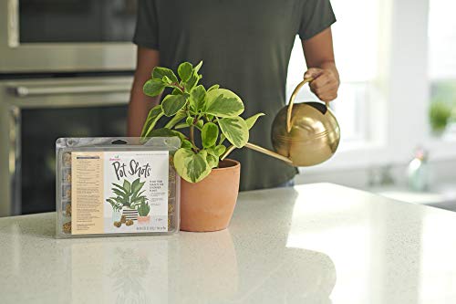 Osmocote PotShots: Premeasured House Plant Food, Feed for up to 6 Months, 25 Nuggets