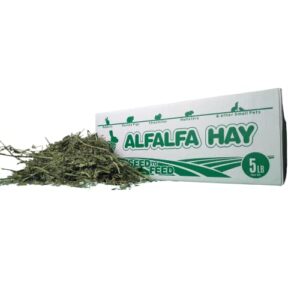 high desert alfalfa hay - dried natural alfalfa hay for rabbits, guinea pigs, chinchillas, and ferrets - protein and fiber rich food for small animals - healthy pet food