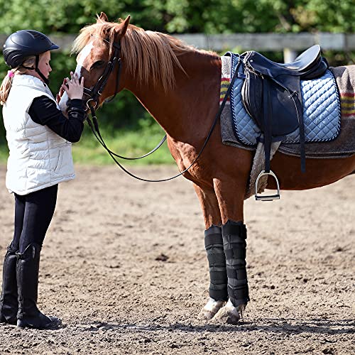 WORLD-BIO Horse Ice Leg Wraps Set Of 2, Ice Pack Cooling Wrap for Horse Injuries, Therapy Full Leg Ice Boot Cold Pack with Flexible Straps for Hock, Ankle, Knee, Legs and Hooves, 16.9'' x 16.1'' Black