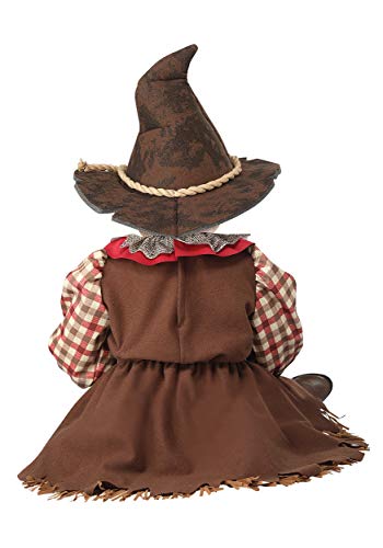 Sunny Scarecrow Costume for Infants 18/24MO