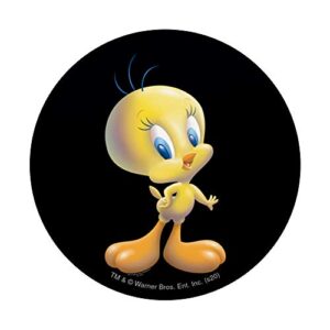 Looney Tunes Tweety Bird Airbrushed PopSockets Swappable PopGrip