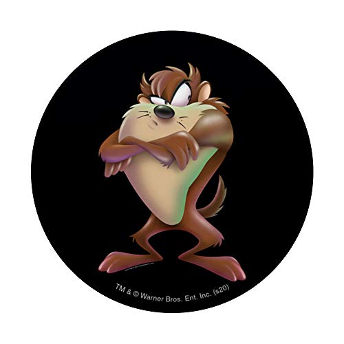 Looney Tunes Tazmanian Devil Airbrushed PopSockets Swappable PopGrip