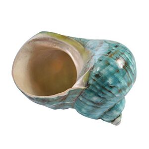 wixine 1pcs 10cm green turbo natural rare real sea shell conch stunning healing decor ocean