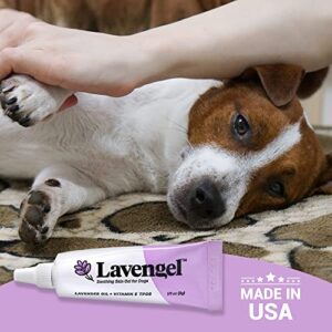 Lavengel Dog Skin Care Gel - Highly Concentrated Ointment Helps Relieve Itchy Skin and Heals Wounds Naturally, First-Aid for Skin Irritations, Hotspots, Sores, and Acne, We Support Rescues