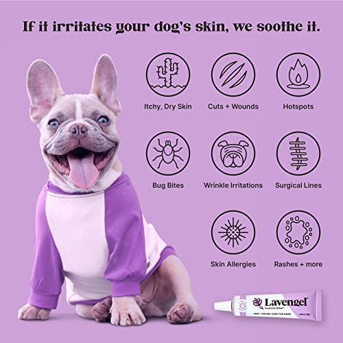 Lavengel Dog Skin Care Gel - Highly Concentrated Ointment Helps Relieve Itchy Skin and Heals Wounds Naturally, First-Aid for Skin Irritations, Hotspots, Sores, and Acne, We Support Rescues