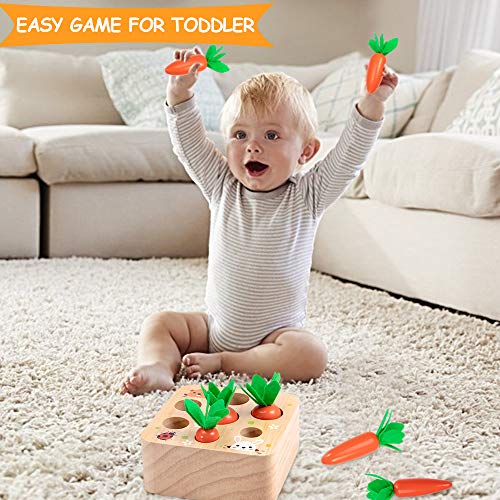 AOJOYS Montessori Toys Carrot Harvest Game Toys for Baby Toddlers 1-3 Years Old, Educational Wooden Carrot Toys Shape Size Sorting Matching Puzzle, Great Baby Easter Toys Birthday Gift Toys