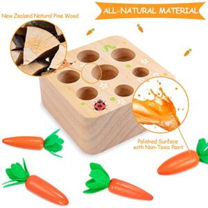 AOJOYS Montessori Toys Carrot Harvest Game Toys for Baby Toddlers 1-3 Years Old, Educational Wooden Carrot Toys Shape Size Sorting Matching Puzzle, Great Baby Easter Toys Birthday Gift Toys