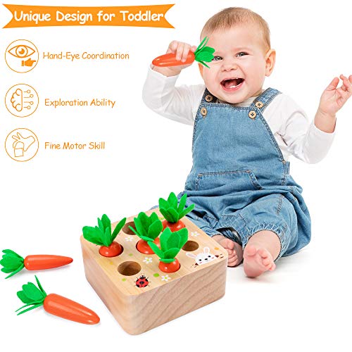 AOJOYS Montessori Toys Carrot Harvest Game Toys for Baby Toddlers 1-3 Years Old, Educational Wooden Carrot Toys Shape Size Sorting Matching Puzzle, Great Baby Easter Toys Birthday Gift Toys