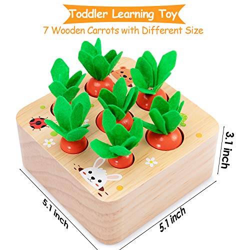 AOJOYS Montessori Toys Carrot Harvest Game Toys for Baby Toddlers 1-3 Years Old, Educational Wooden Carrot Toys Shape Size Sorting Matching Puzzle, Great Baby Easter Toys Birthday Gift Toys