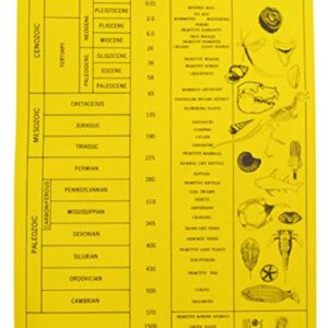 EISCO 12 Piece Deluxe Fossil Collection - Includes 12 Samples, Information Cards and a Geological Timescale - Great for Introductory Fossil Study