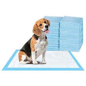 scratchme super-absorbent waterproof dog and puppy pet training pad, housebreaking pet pad, 50-count small-size, 17.1’’x23.6’’, blue