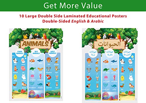 Dosmaxx 10 Large Arabic&English Educational Posters for Kids,Arabic Alphabet for Kids,Preschool, Homeschool,and Elementary Classroom Displays,Teach Numbers,Colors,Animals,Arabic Letters,Weather