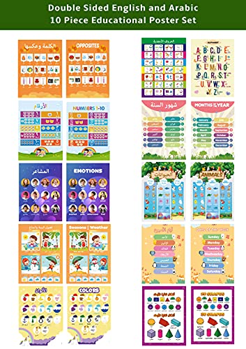 Dosmaxx 10 Large Arabic&English Educational Posters for Kids,Arabic Alphabet for Kids,Preschool, Homeschool,and Elementary Classroom Displays,Teach Numbers,Colors,Animals,Arabic Letters,Weather