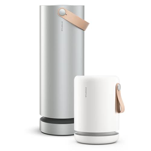 Molekule Air and Air Mini+ - Multi-Space Air Purifier Bundle