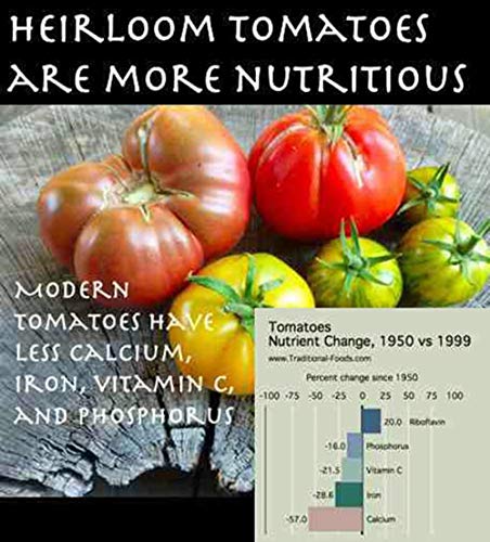 Tomato, Rutgers, Heirloom, 25 Seeds, Deliciously Sweet RED Tasty Fruit