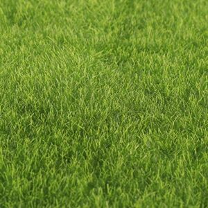 cocoarm artificial grass turf lawn, synthetic artificial grass mat turf lawn garden micro landscape ornament dollhouse grass home decor for indoor and outdoor use, non toxic for pet, 12 x 12inch