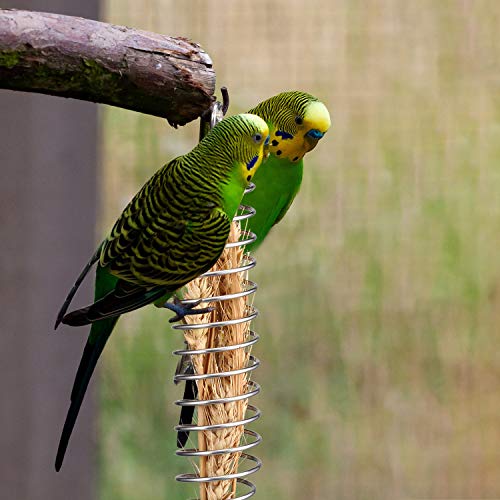 3 Pieces Bird Food Holder Stainless Steel Parrot Hanging Vegetable Fruit Feeder Bird Treat Skewer Include 2 Pieces Small and Large Fruit Fork and a Food Basket, Parrot Foraging Toy