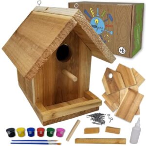 sparkjump jr birdhouse kit | cedar wood for outdoors | with paint set | bird feeder | diy crafts woodworking building gardening project for kids, adults, family