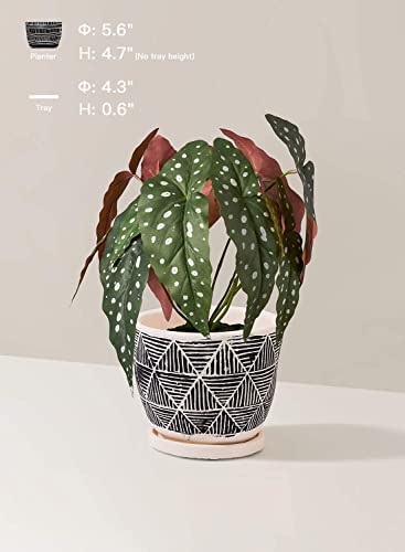 LE TAUCI Cement Planters Pots for Indoor Plants, 5.5 Inch Boho Plant Pots with Drainage Holes & Saucers, Decorative Succulent Pots Indoor, Bonsai Pots, Unglazed, Set of 2