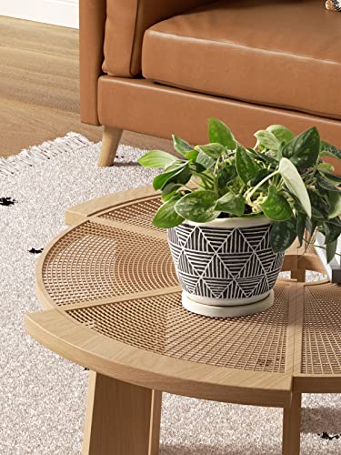 LE TAUCI Cement Planters Pots for Indoor Plants, 5.5 Inch Boho Plant Pots with Drainage Holes & Saucers, Decorative Succulent Pots Indoor, Bonsai Pots, Unglazed, Set of 2