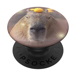 cute capybara with orange on head popsockets grip and stand for phones and tablets