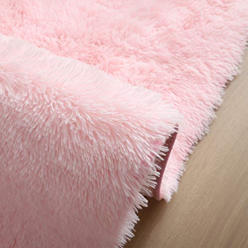 5x8 Pink Area Rugs for Living Room Super Soft Floor Fluffy Carpet Natural Comfy Thick Fur Mat Princess Girls Room Rug Christmas Thanksgiving Gift Rugs