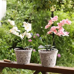 YIKUSH Orchid Pots with Holes 7 inch 10Pack Clear Orchid Pot Plastic Plant Pot Flower Pots Outdoor and Indoor Use