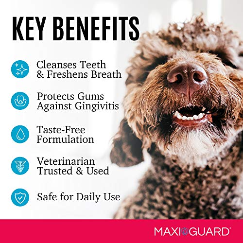 MAXIGUARD OraZn Pet Dental Care Gel for Dogs, Cats and Companian Animals (2oz), 4409-0