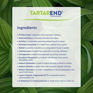 TartarEnd Toothpaste for Tartar Removal - Tartar Control Toothpaste to Remove Tartar and Plaque from Teeth at Home and Prevent Tartar and Plaque Buildup - 3.4 oz Tube, 1-Pack