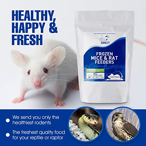 MiceDirect Frozen Small Pinkie Feeder Mice Food for Corn Snakes Ball Pythons Lizards (20 Count)