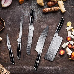 TUO Kitchen Steak Knife - 5 inch Straight Single Steak Knife - AUS-8 Japanese Steel - Full Tang G10 Handle - Falcon S Series with Gift Box