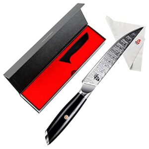 TUO Kitchen Steak Knife - 5 inch Straight Single Steak Knife - AUS-8 Japanese Steel - Full Tang G10 Handle - Falcon S Series with Gift Box