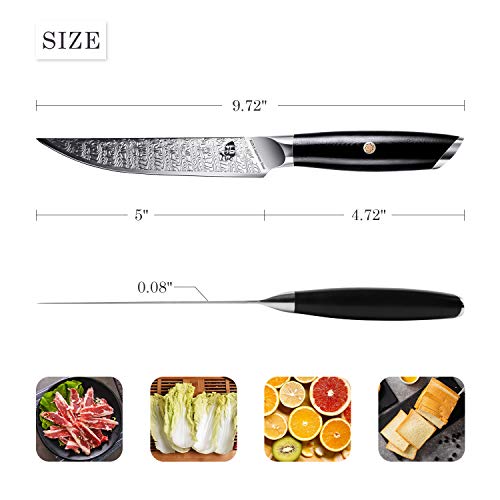 TUO Kitchen Steak Knife - 5 inch Straight Single Steak Knife - AUS-8 Japanese Steel - Full Tang G10 Handle - Falcon S Series with Gift Box