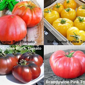 ***Mixed Seeds!!!*** This is A Mix!!! 30+ Giant Tomato Seeds, Mix of 22 Varieties, Heirloom Non-GMO, US Grown, Brandywine Black, Red, Yellow & Pink, Mr. Stripey, Old German, Black Krim, from USA