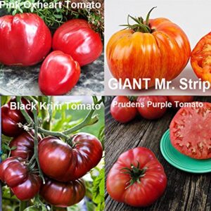 ***Mixed Seeds!!!*** This is A Mix!!! 30+ Giant Tomato Seeds, Mix of 22 Varieties, Heirloom Non-GMO, US Grown, Brandywine Black, Red, Yellow & Pink, Mr. Stripey, Old German, Black Krim, from USA