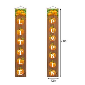 Welcome Little Pumpkin Banner,Rustic Fall Autumn Pumpkin Baby Shower&Birthday Party&Gender Reveal Decoration Backdrop for Home Farmhouse