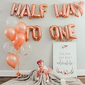 JeVenis 15 PCS Half Way To One Banner Half Way To One Rose Gold Balloons Decorations for Girl 1/2 Birthday Decorations
