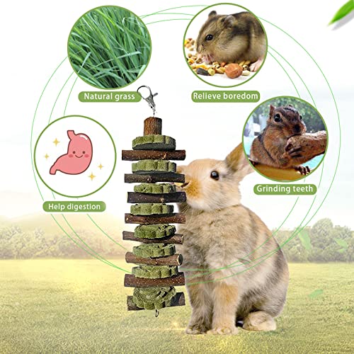 PINVNBY Bunny Chew Toys for Teeth Natural Organic Fruitwood Rabbits Cage Molar Sticks for Chinchillas, Guinea Pigs, Hamsters, Parrots and Other Small Pet Chewing Improve Dental Health