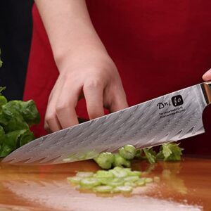 Dnifo Chef Knife, Damascus VG-10 Steel 8 inch Professional Sharp Kitchen Knife, Japanese Chef Knives Full Tang Half Bolster Cooking Damascus Knife, Anti-rusting Forged Damascus Chef's Knife