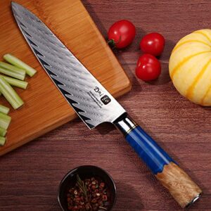 Dnifo Chef Knife, Damascus VG-10 Steel 8 inch Professional Sharp Kitchen Knife, Japanese Chef Knives Full Tang Half Bolster Cooking Damascus Knife, Anti-rusting Forged Damascus Chef's Knife