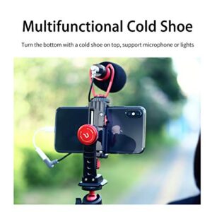 Cell Phone Tripod Mount, ULANZI ST-14 Smartphone Tripod Mount Adapter Aluminum with Cold Shoe, 360° Cell Phone Stand Holder Clamp for iPhone 13 12 11 Max Pro iPhone X XR Xs 6 7 Plus