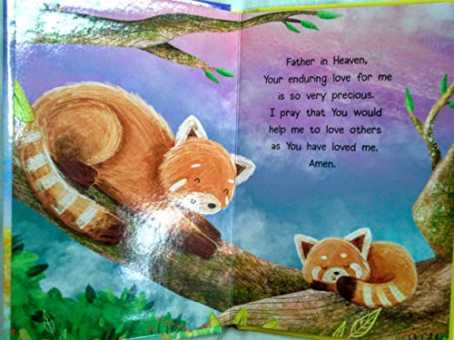 Little Blessings Be Joyful, Be Patient, Faith is Strong, and Love is Kind Board Books - Set of 4