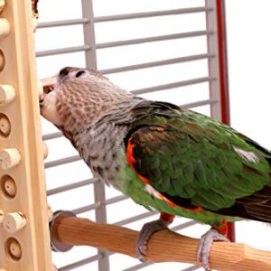 Woodberry - Medium Bolt-On Parrot Toy